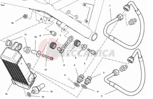 OIL COOLER