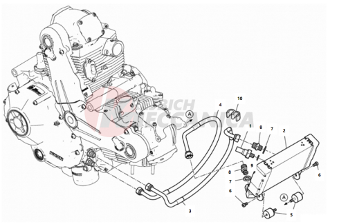 OIL COOLER