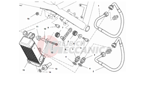 OIL COOLER