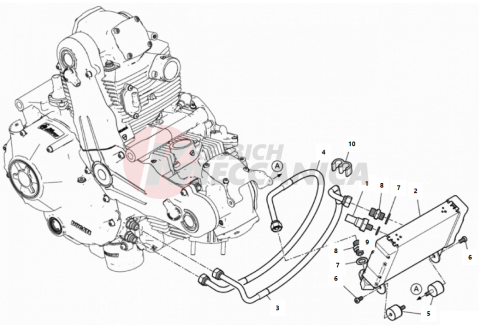 OIL COOLER