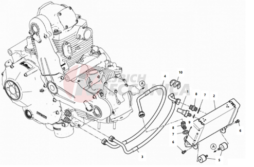 OIL COOLER