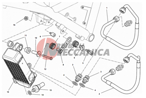 OIL COOLER
