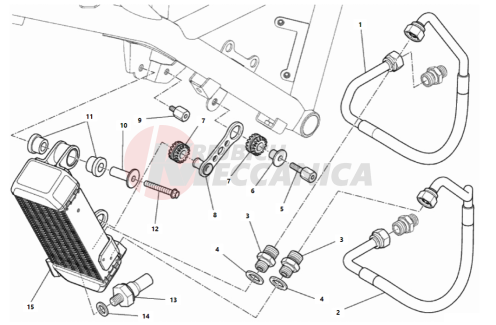 OIL COOLER