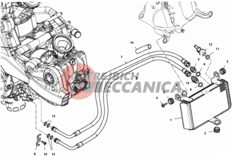 OIL COOLER