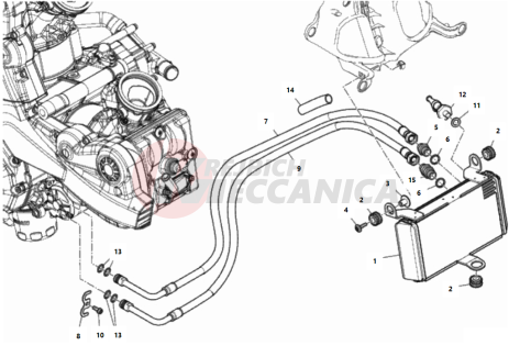 OIL COOLER