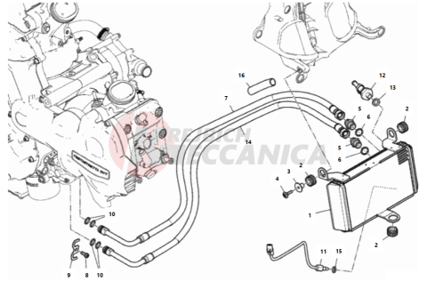 OIL COOLER