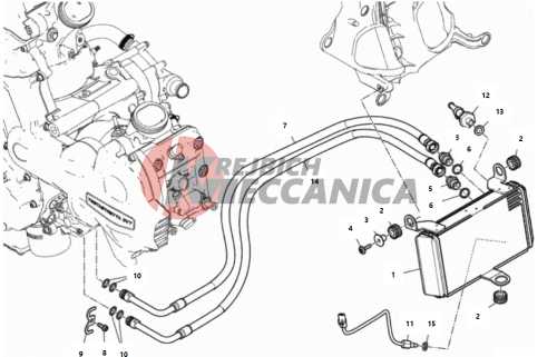 OIL COOLER