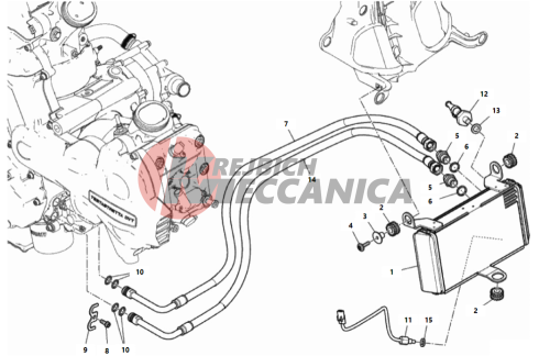 OIL COOLER