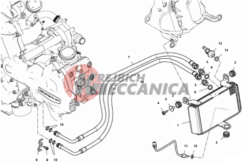 OIL COOLER