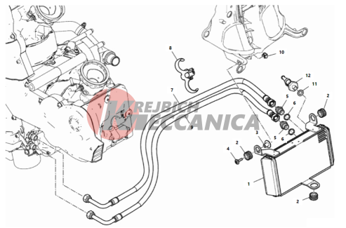 OIL COOLER