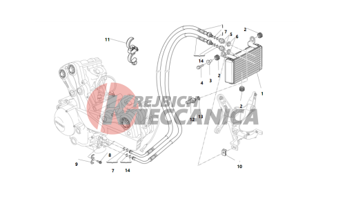 OIL COOLER