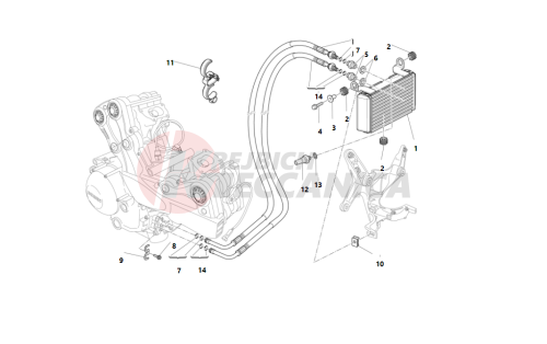 OIL COOLER