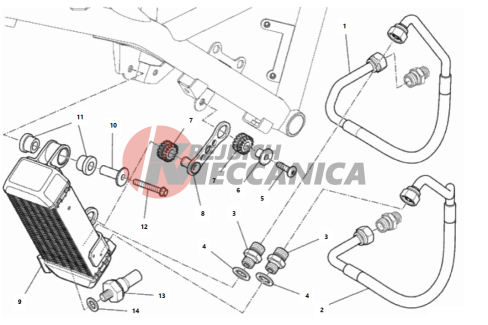 OIL COOLER