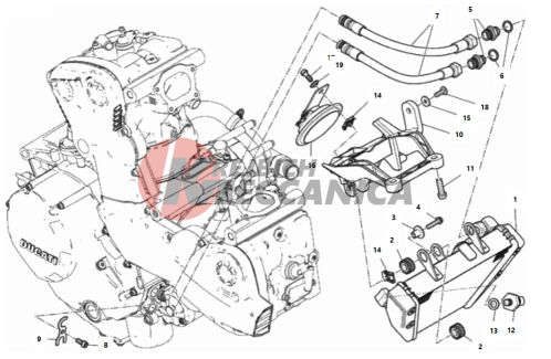 OIL COOLER