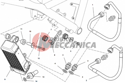 OIL COOLER