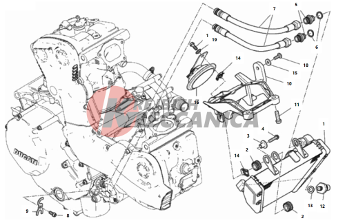 OIL COOLER