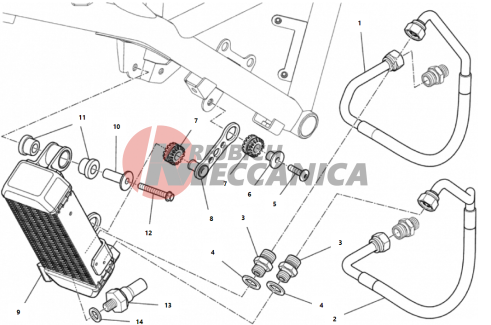 OIL COOLER