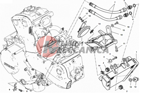 OIL COOLER