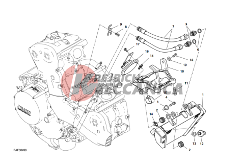 OIL COOLER