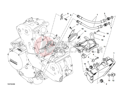 OIL COOLER