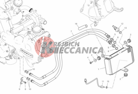 OIL COOLER