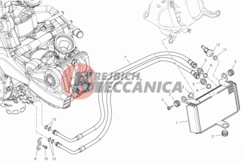 OIL COOLER