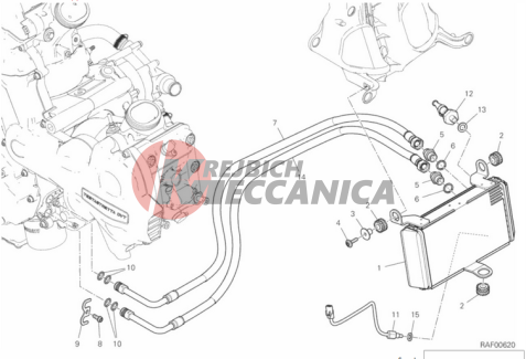 OIL COOLER