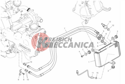 OIL COOLER