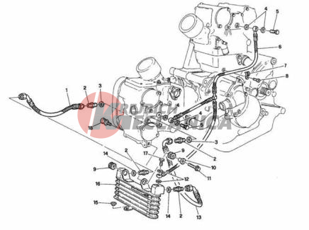 OIL COOLER