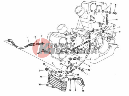 OIL COOLER