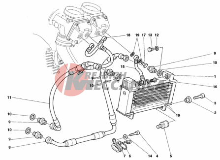 OIL COOLER