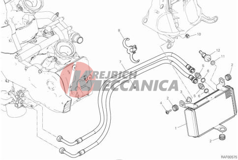 OIL COOLER