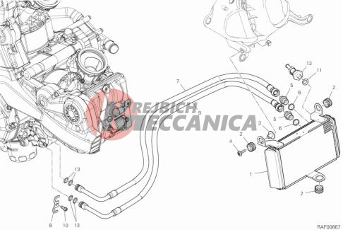 OIL COOLER