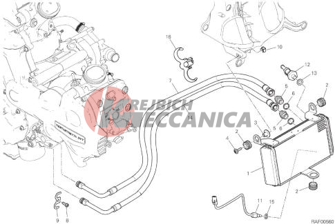 OIL COOLER