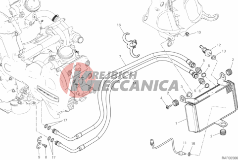 OIL COOLER