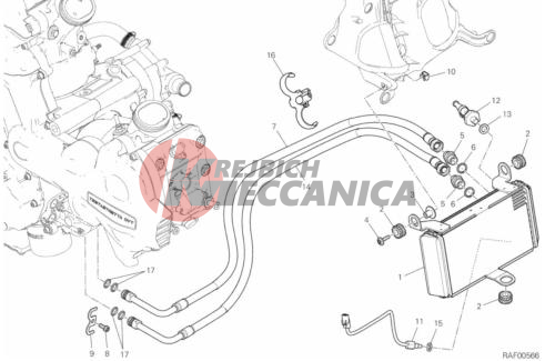 OIL COOLER