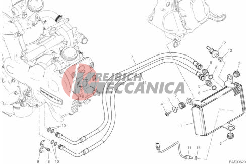 OIL COOLER