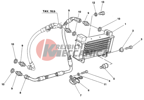 OIL COOLER DM 009756