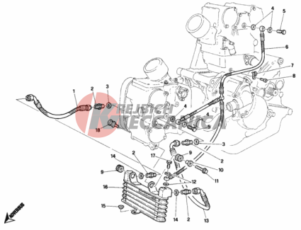 OIL COOLER SP