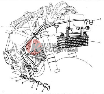 OIL COOLER