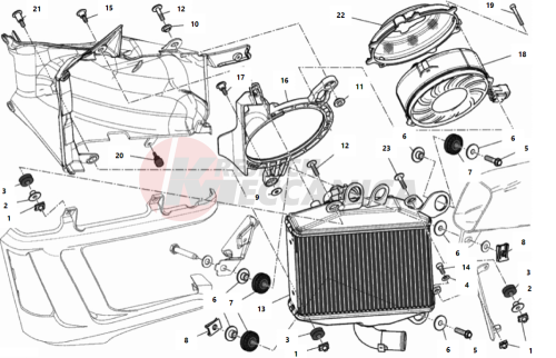 RADIATOR, WATER, LH