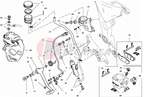 REAR BRAKING SYSTEM