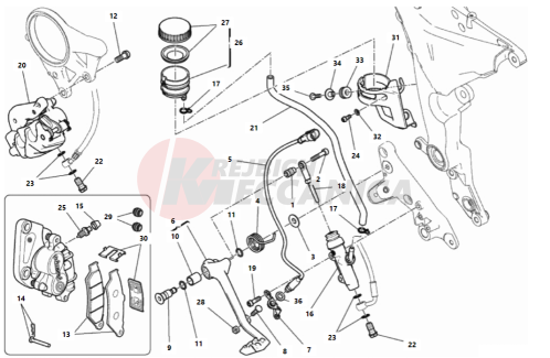 REAR BRAKING SYSTEM