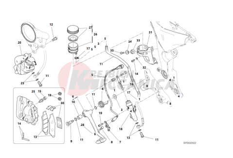 REAR BRAKING SYSTEM