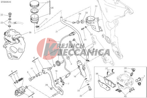 REAR BRAKING SYSTEM