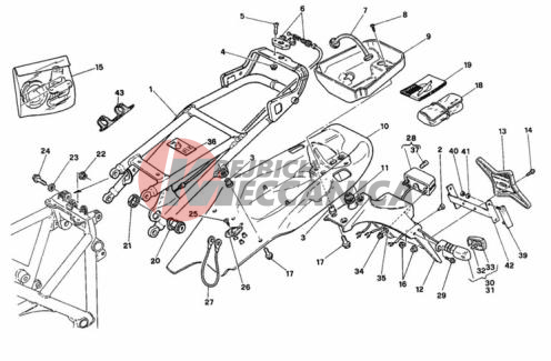 REAR FRAME SP