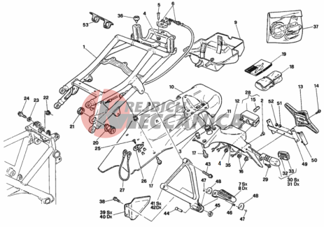 REAR FRAME USA