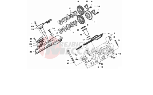 REAR HEAD - TIMING SYSTEM