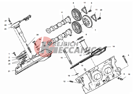 REAR HEAD - TIMING SYSTEM