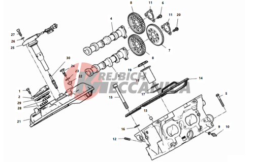 REAR HEAD - TIMING SYSTEM